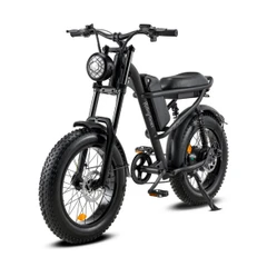 RIDING' TIMES ELECTRIC BIKE Z8