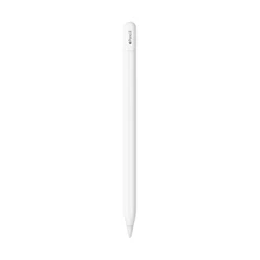 APPLE PENCIL (USB-C) MUWA3ZM/A