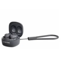CANYON TWS ONGO 4 MINI GRAY