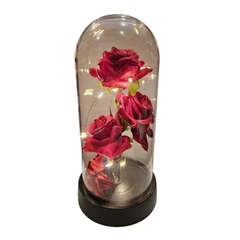 Вечно живи рози, В стъкленица, Светещи