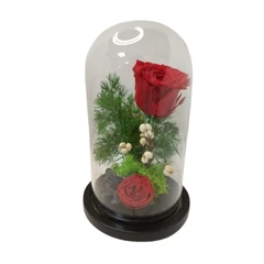 Вечно жива роза, В стъкленица, 18х11 см