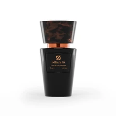 Парфюм унисекс Chogan Olfazeta № 135 Mystic Forest, Extrait de Parfum 30%, 30 мл.