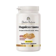 Dr. Nature Индийски тамян, 90 капусли
