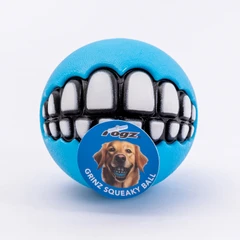 Rogz Grinz Squeaky Ball, Medium, Turquoise