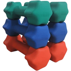 0.5кг Неопренови гири Active Gym Neoprene dumbbells 0,5kg