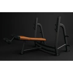 Професионална лежанка Olympic Decline Bench Premium series Active Gym