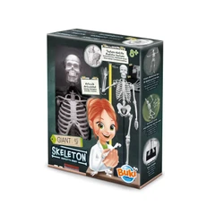  Образователна игра, Buki France, Скелет, 45 см