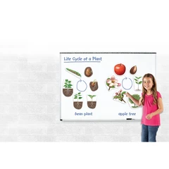 Магнитен комплект Жизнен цикъл на растенията Learning Resources