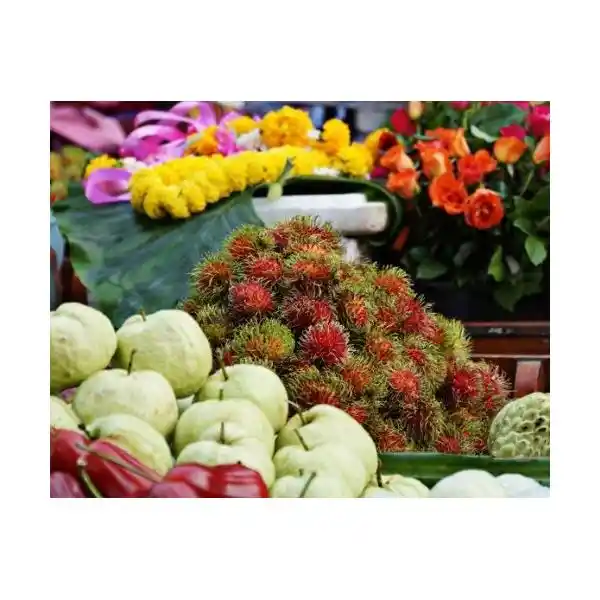 SONY DSC-W830V COMPACT CAMERA VIOLET