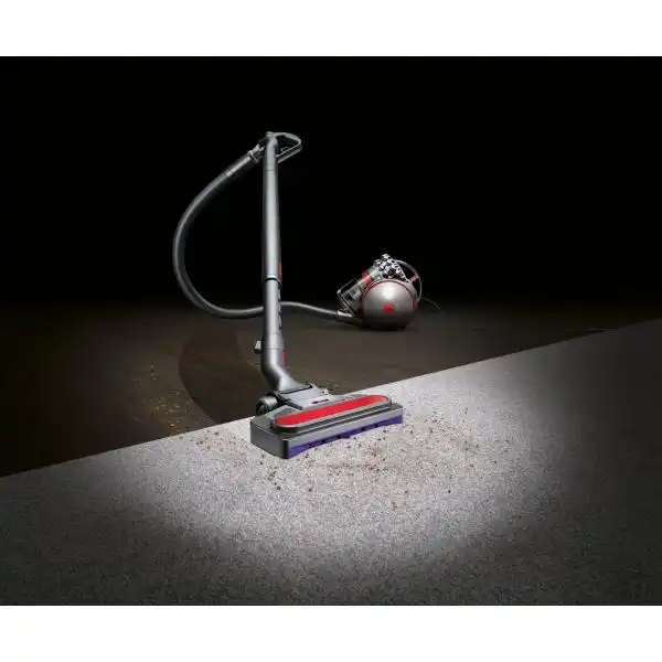 DYSON CINETIC BIGBALL ANIMAL PRO 2