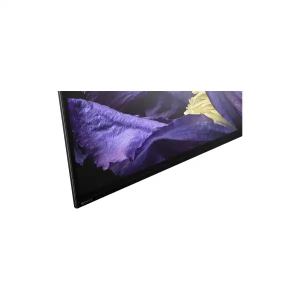 SONY KD-55AF9BAEP OLED TV