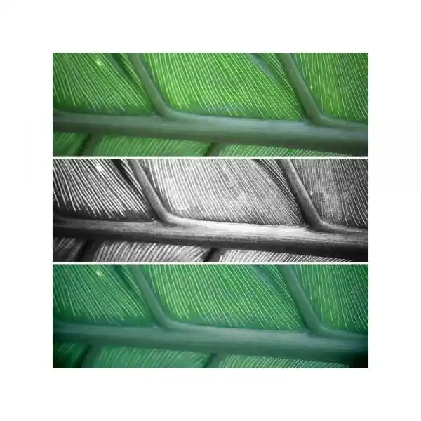 CANON EOS 4000D EF-S 18-55+75-300 SEE