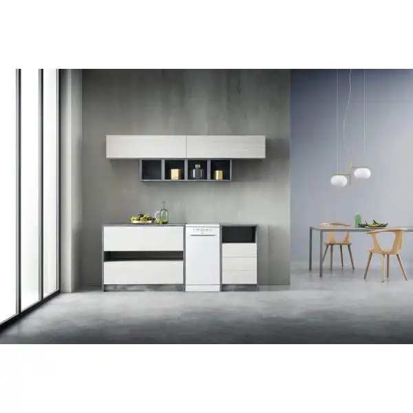 WHIRLPOOL WSFE 2B19 EU