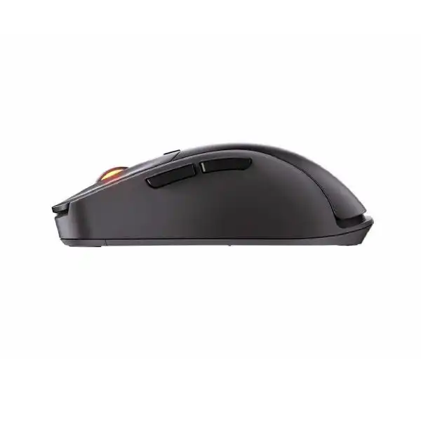 COUGAR SURPASSION RX