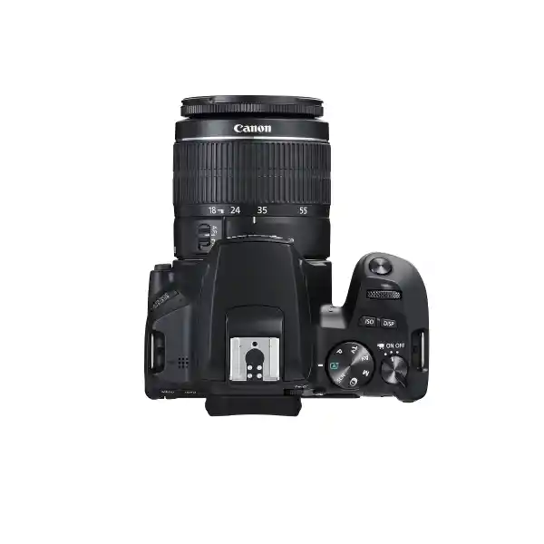 CANON EOS 250D 18-55 IS 24.1 MPx