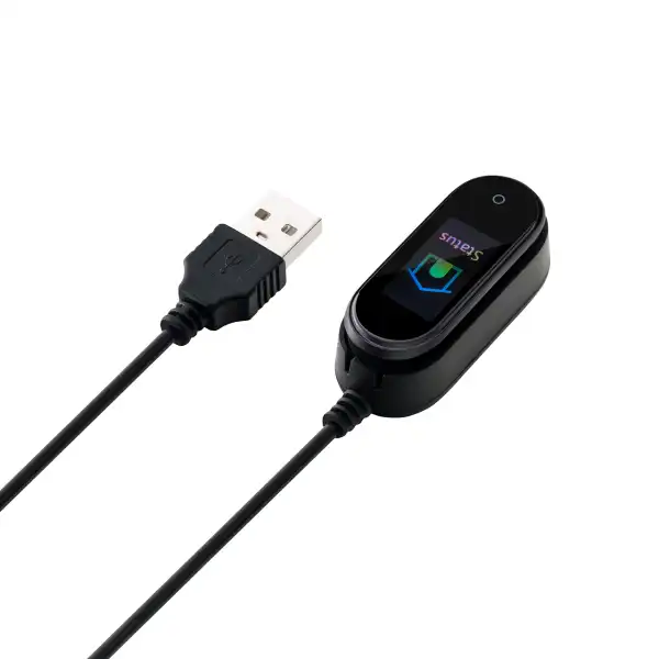 CANYON FITNES BAND CNE-SB01BN