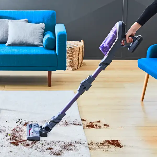 ROWENTA RH9638WO X-FORCE FLEX 8.60