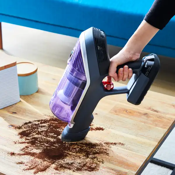 ROWENTA RH9638WO X-FORCE FLEX 8.60