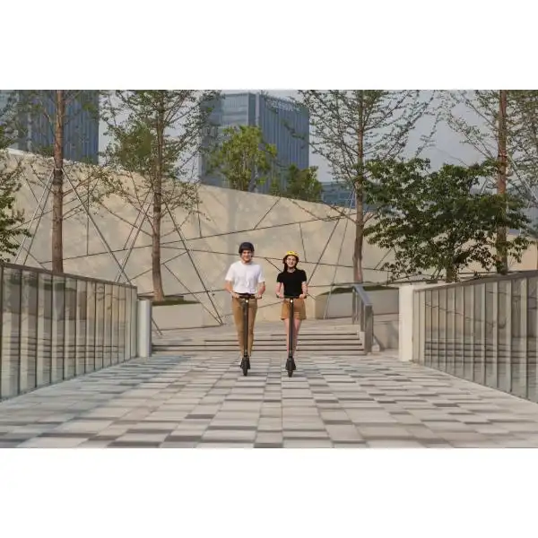 SEGWAY E45 E KICKSCOOTER