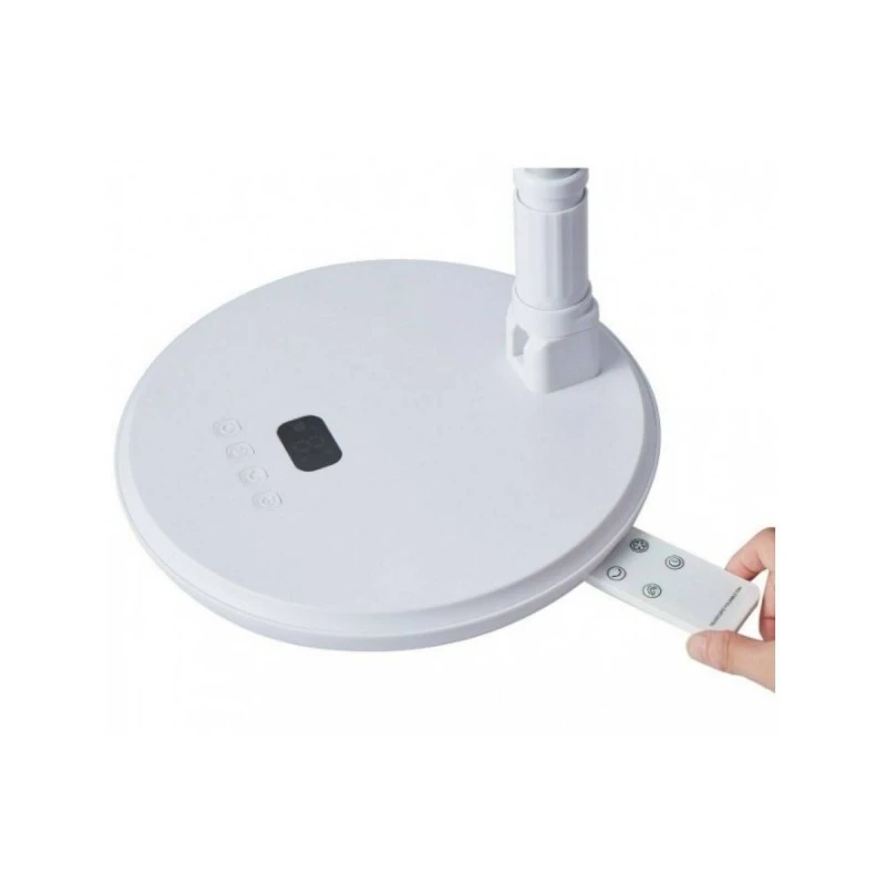 SINGER PF 250R 3 IN 1