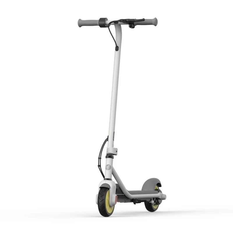 SEGWAY KICK SCOOTER ZING C10