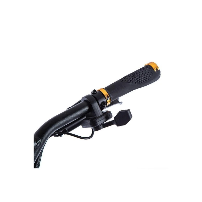 KAABO WOLF WARRIOR 11 KING GT 2X2000W GOLD