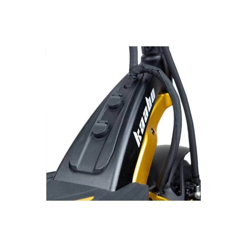 KAABO MANTIS KING GT  2X1100W GOLD