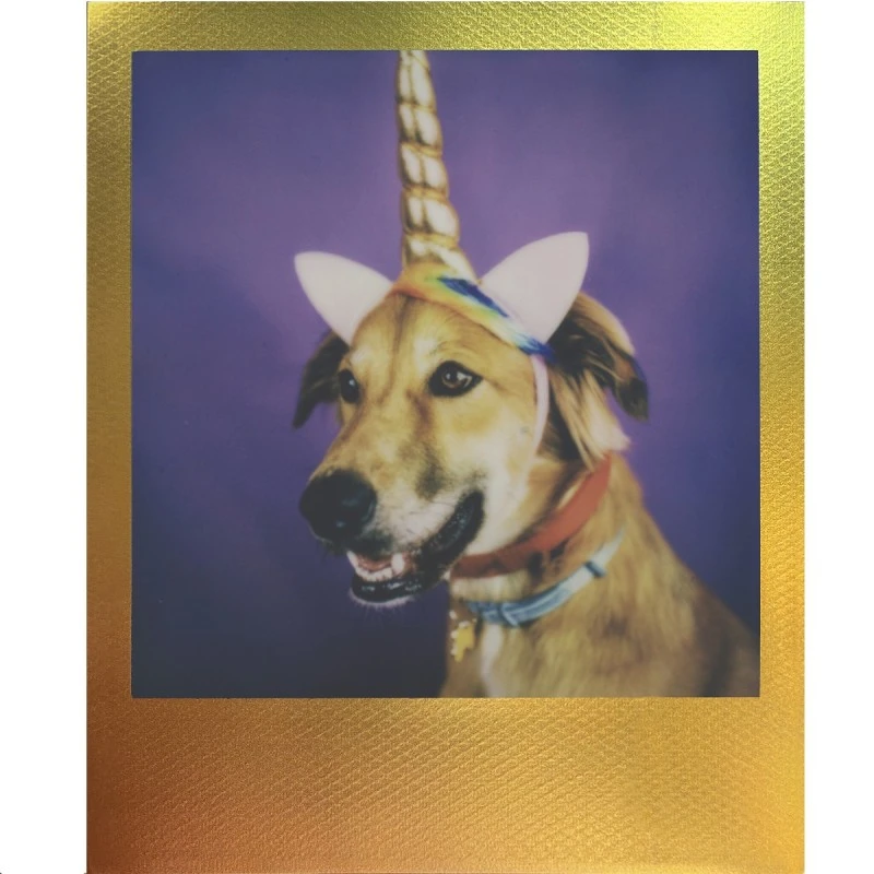 POLAROID I-TYPE 6220 METALLIC SPECTRUM EDITION