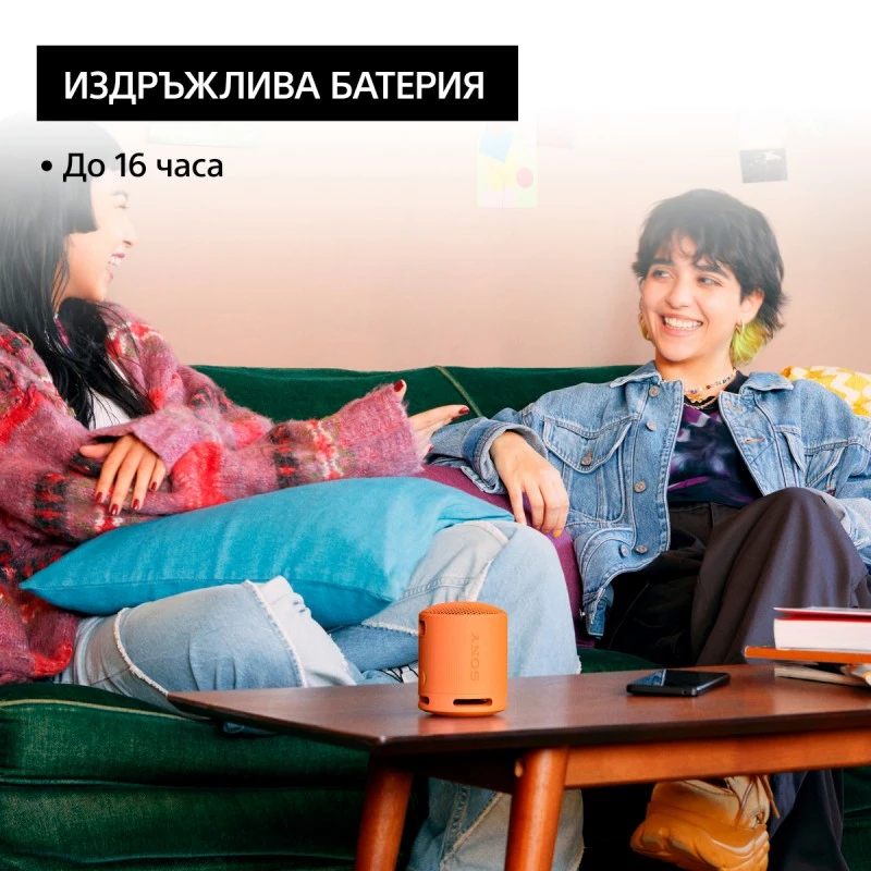 SONY SRS-XB100D PORTABLE SPEAKER