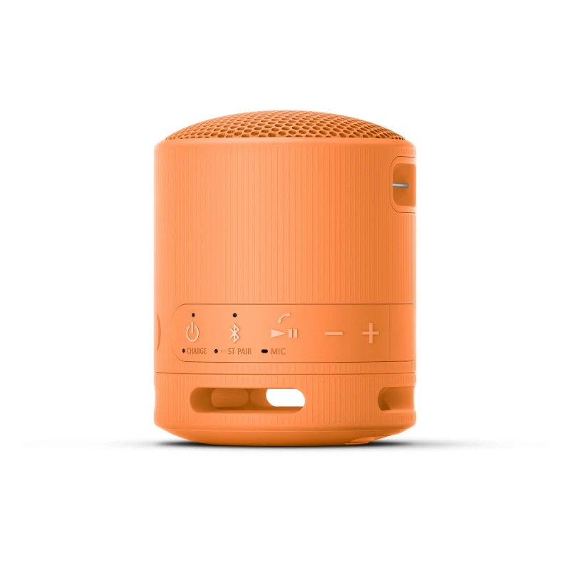 SONY SRS-XB100D PORTABLE SPEAKER