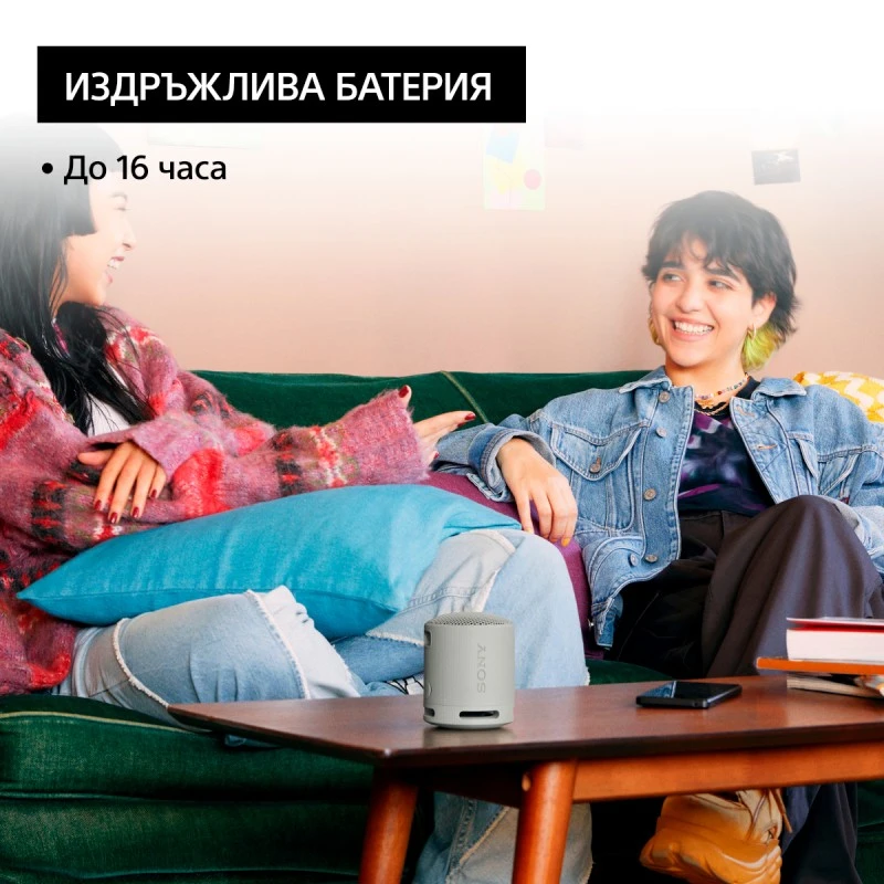 SONY SRS-XB100H PORTABLE SPEAKER