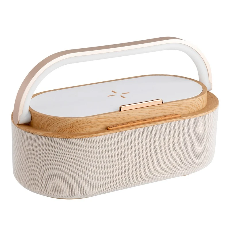XMART FM ALARM CLOCK AC-60LW