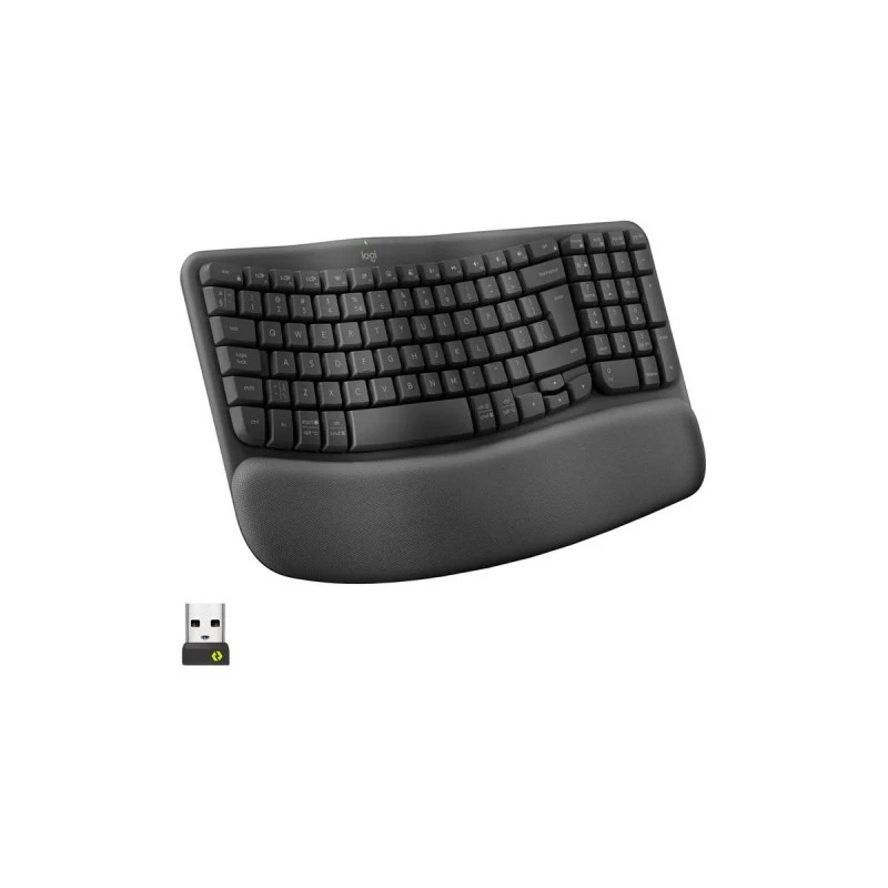 LOGITECH WAVE KEYS GRAPHITE 920-012304