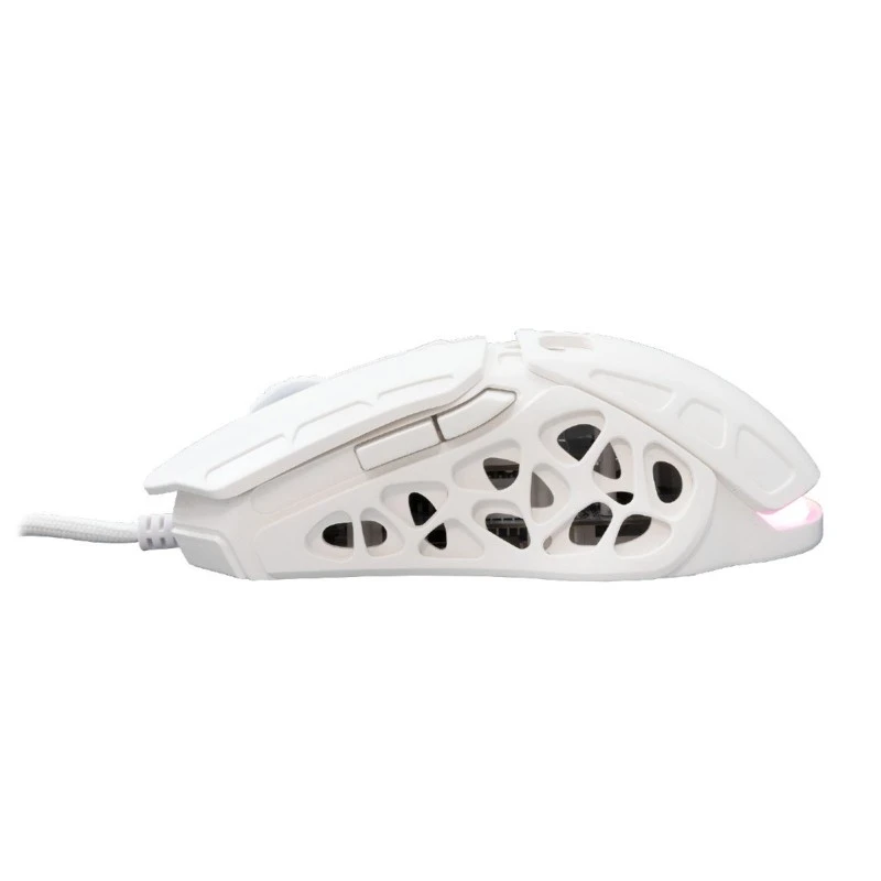 WHITE SHARK  GM-5016 ECTOR WHITE
