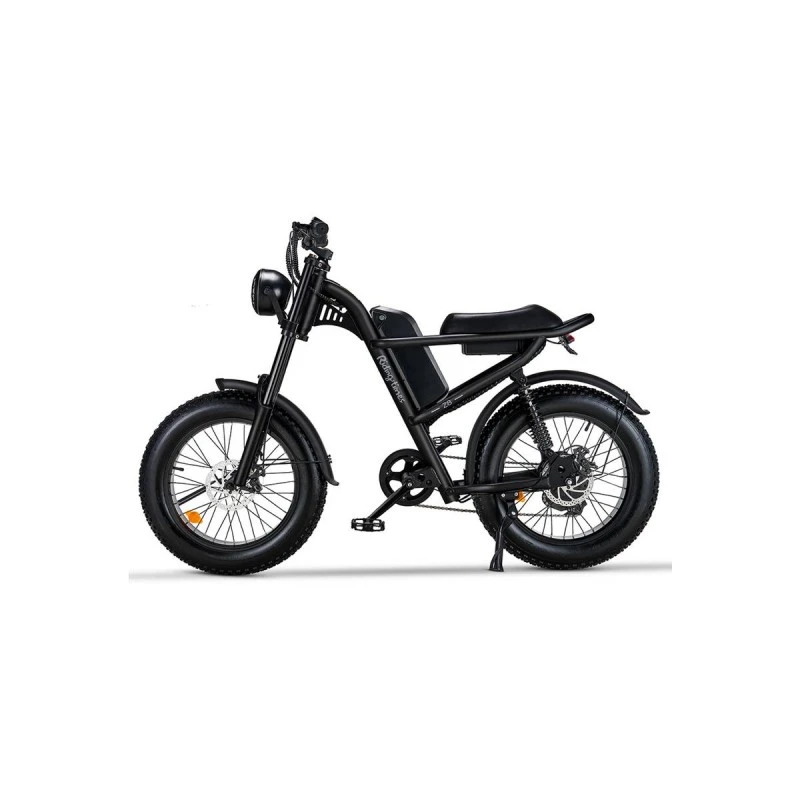 RIDING' TIMES ELECTRIC BIKE Z8