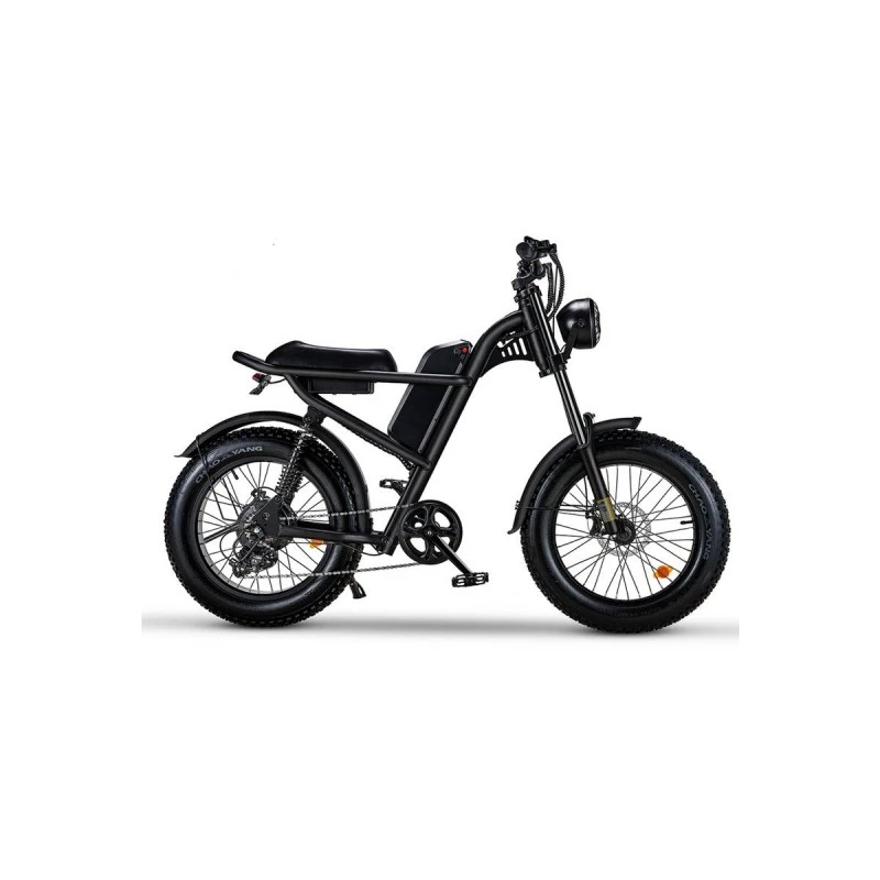 RIDING' TIMES ELECTRIC BIKE Z8