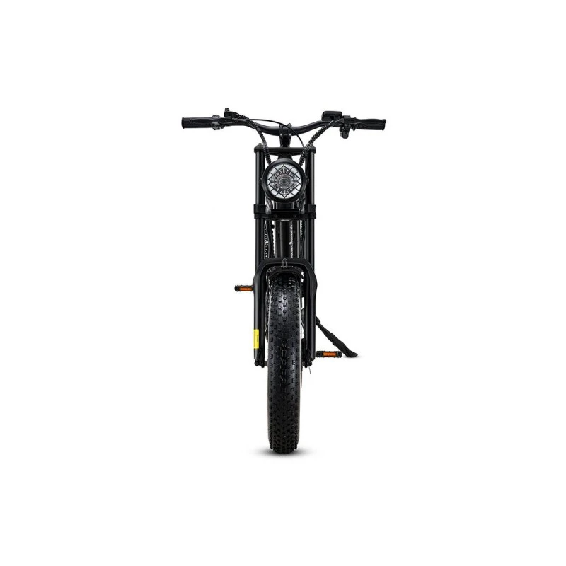 RIDING' TIMES ELECTRIC BIKE Z8