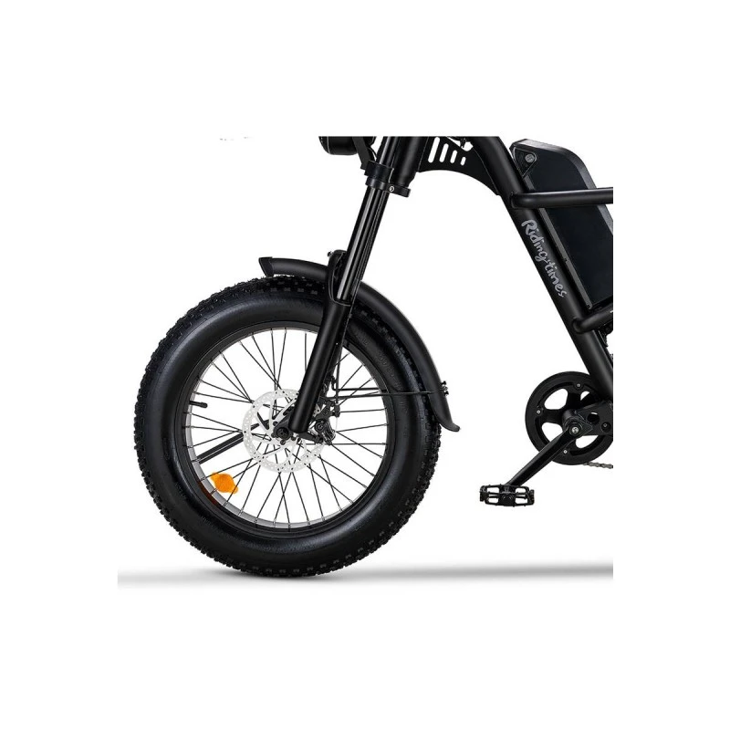 RIDING' TIMES ELECTRIC BIKE Z8