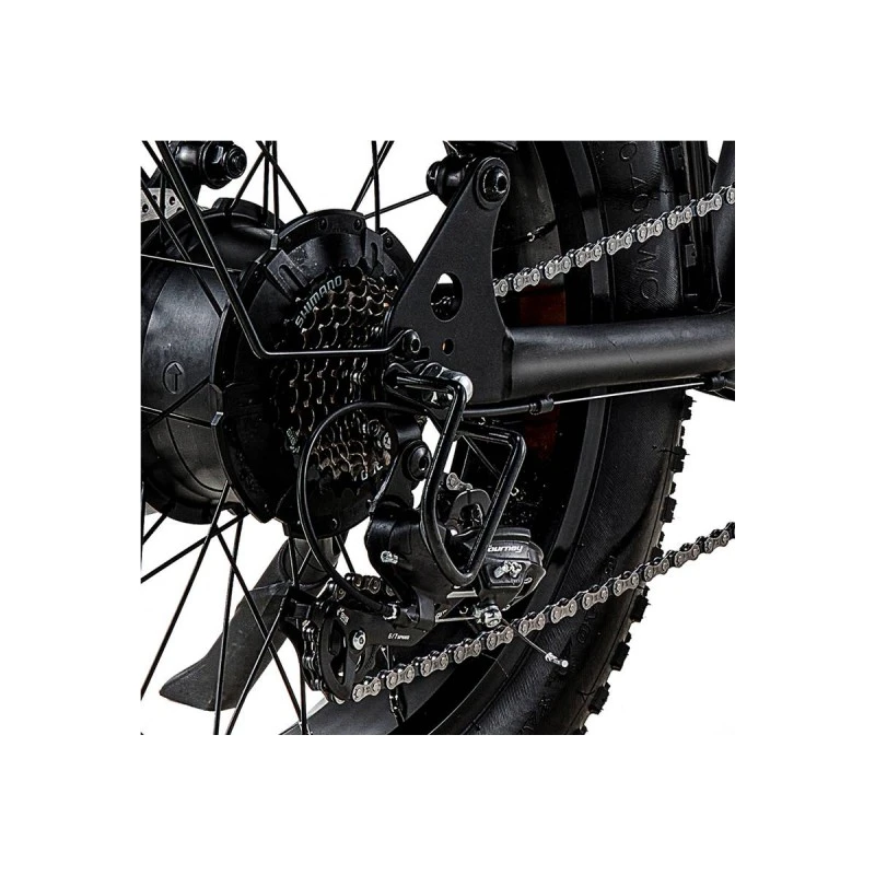 RIDING' TIMES ELECTRIC BIKE Z8