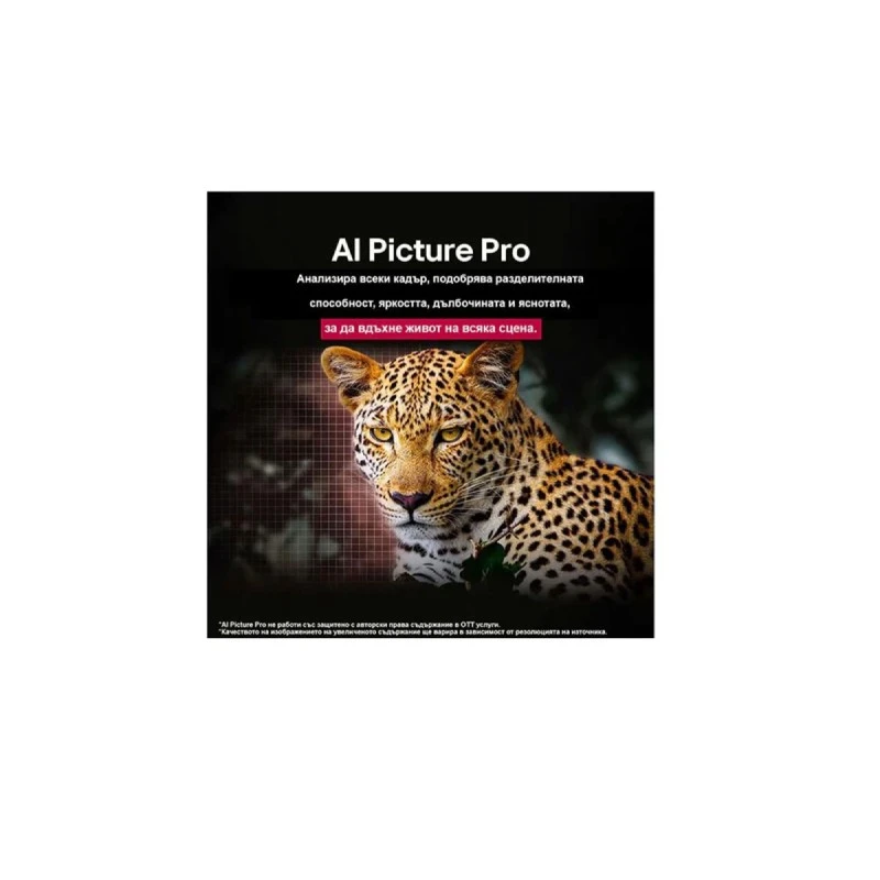 LG OLED55G51LW OLED EVO AI SMART TV