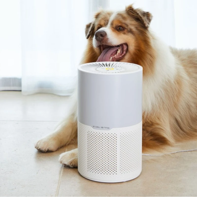 ROWENTA PU2220F0 PURIFIER PURE AIR COMPACT