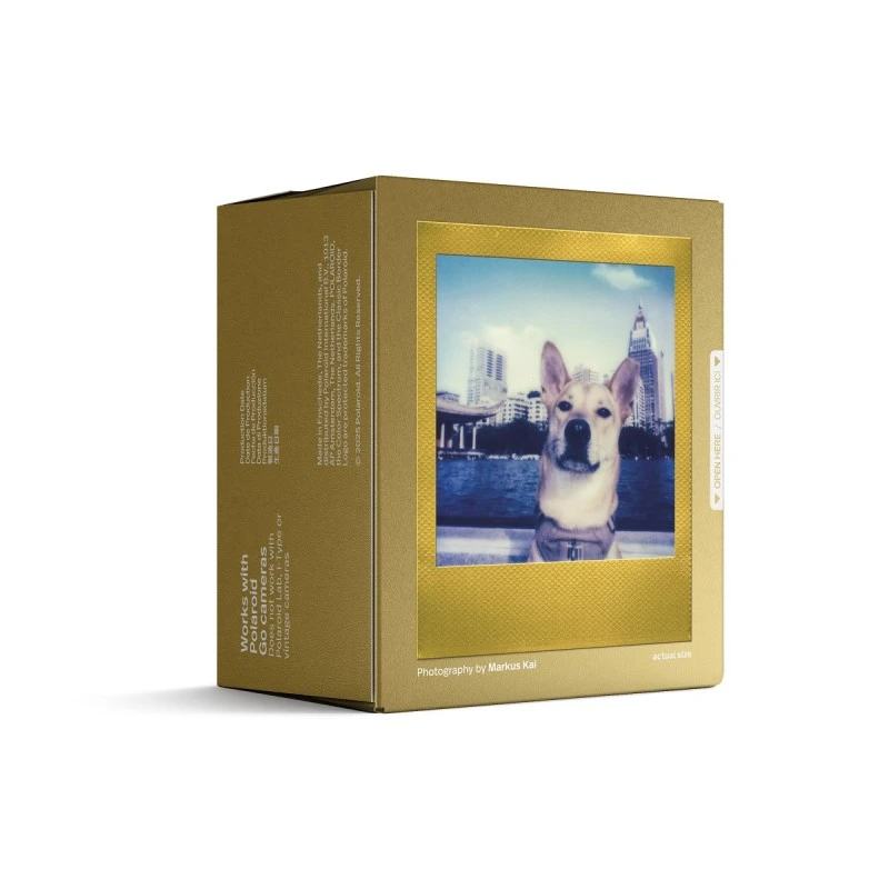 POLAROID GO 6588 FILM DOUBLE PACK GOLD FRAME