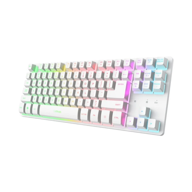 TRUST 26083 GXT831W WRLS KEYBOARD WHT US