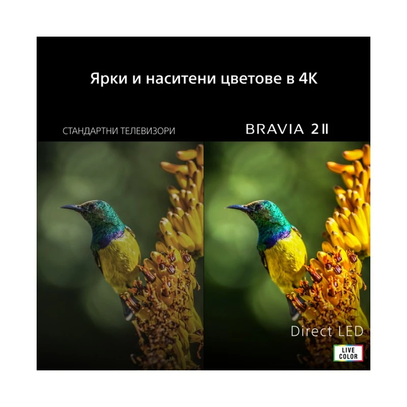 SONY BRAVIA 2 II K-55S25M2PB UHD LED SMART TV