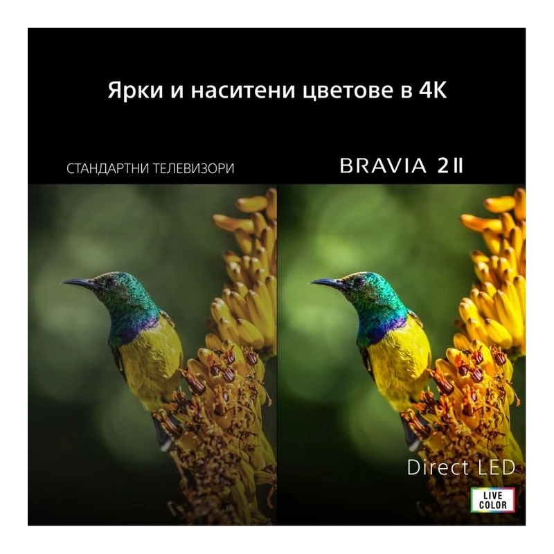 SONY BRAVIA 2 II K-75S25M2PB UHD LED SMART TV