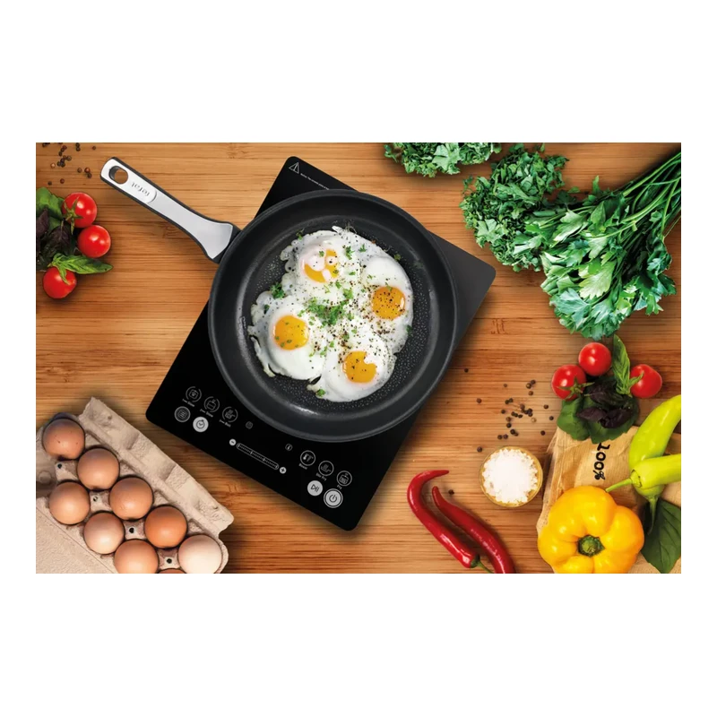 TEFAL IH2108E1 INDUCTION HOB 2100W
