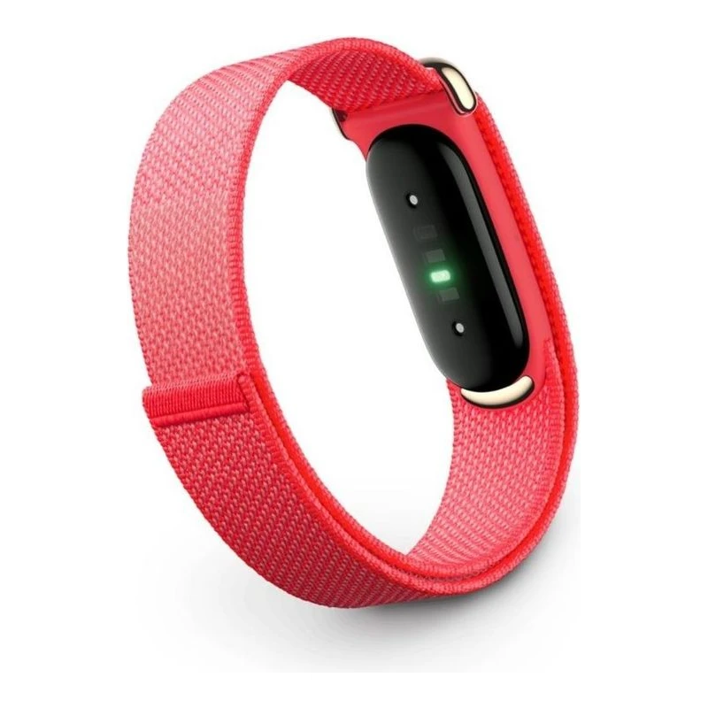 SMART BAND GOOGLE FITBIT AIR BERRY
