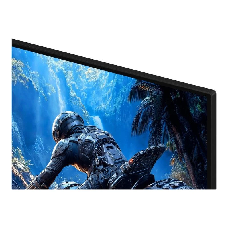 SAMSUNG LS25HG402EUXEN MONITOR