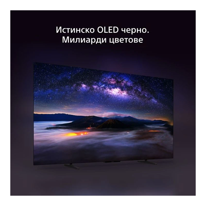 SONY BRAVIA 6 K-48A65PB OLED SMART TV