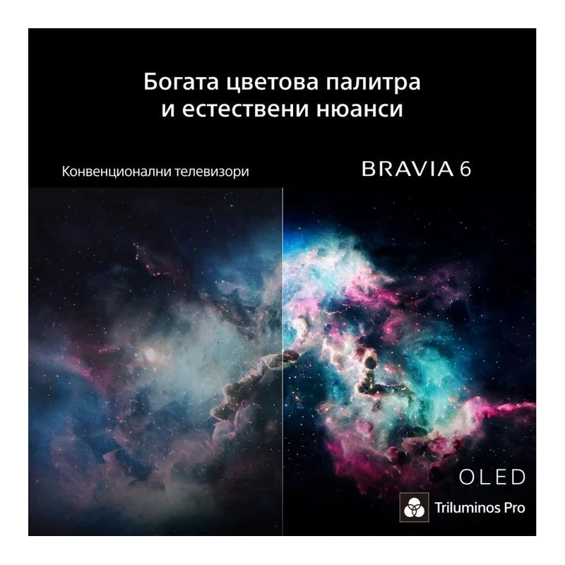 SONY BRAVIA 6 K-55A65PB OLED SMART TV